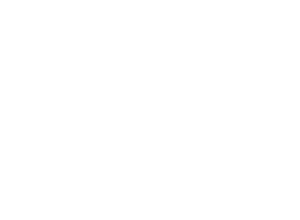 Del Sur Importadora