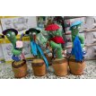 CACTUS BAILARIN/IMITADOR DE VOZ
