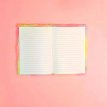 AGENDA PLUSH